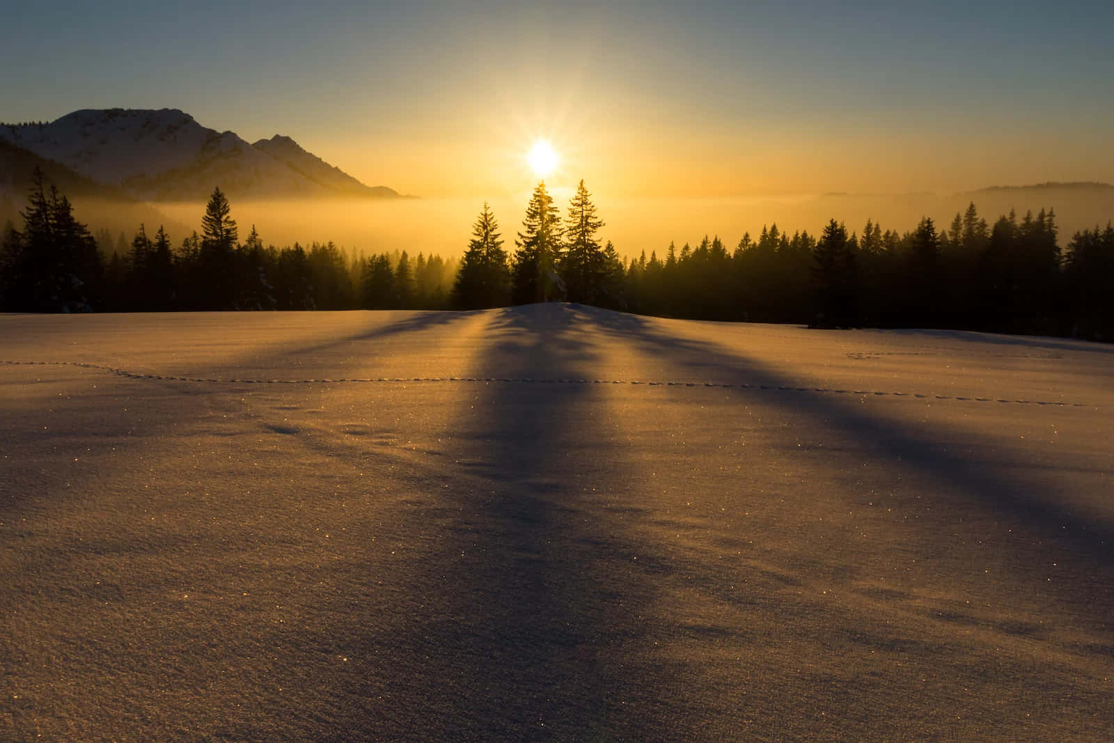 Winter Solstice - Snowy Landscape And Glittering Stars