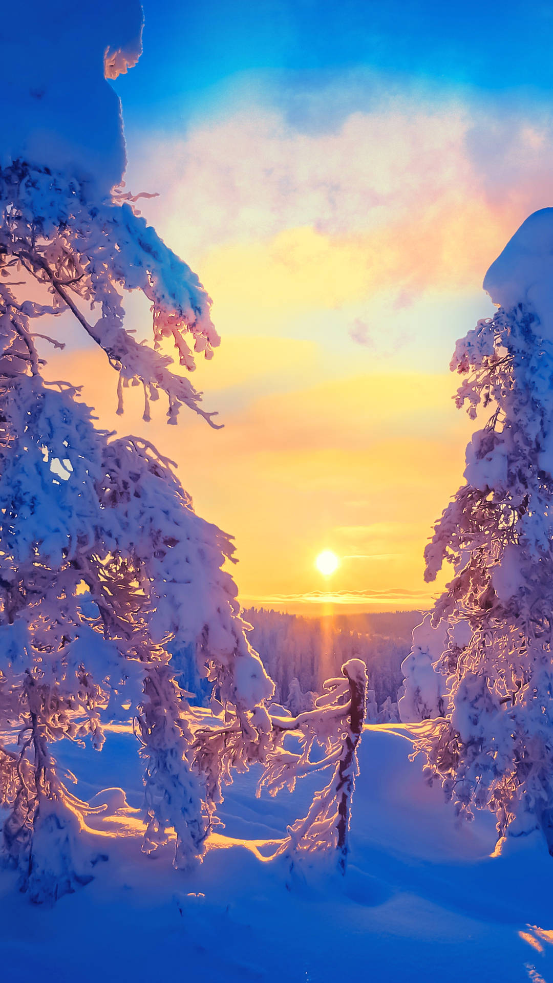 Winter_ Sunrise_ Amidst_ Snowy_ Forest_4 K_ U H D