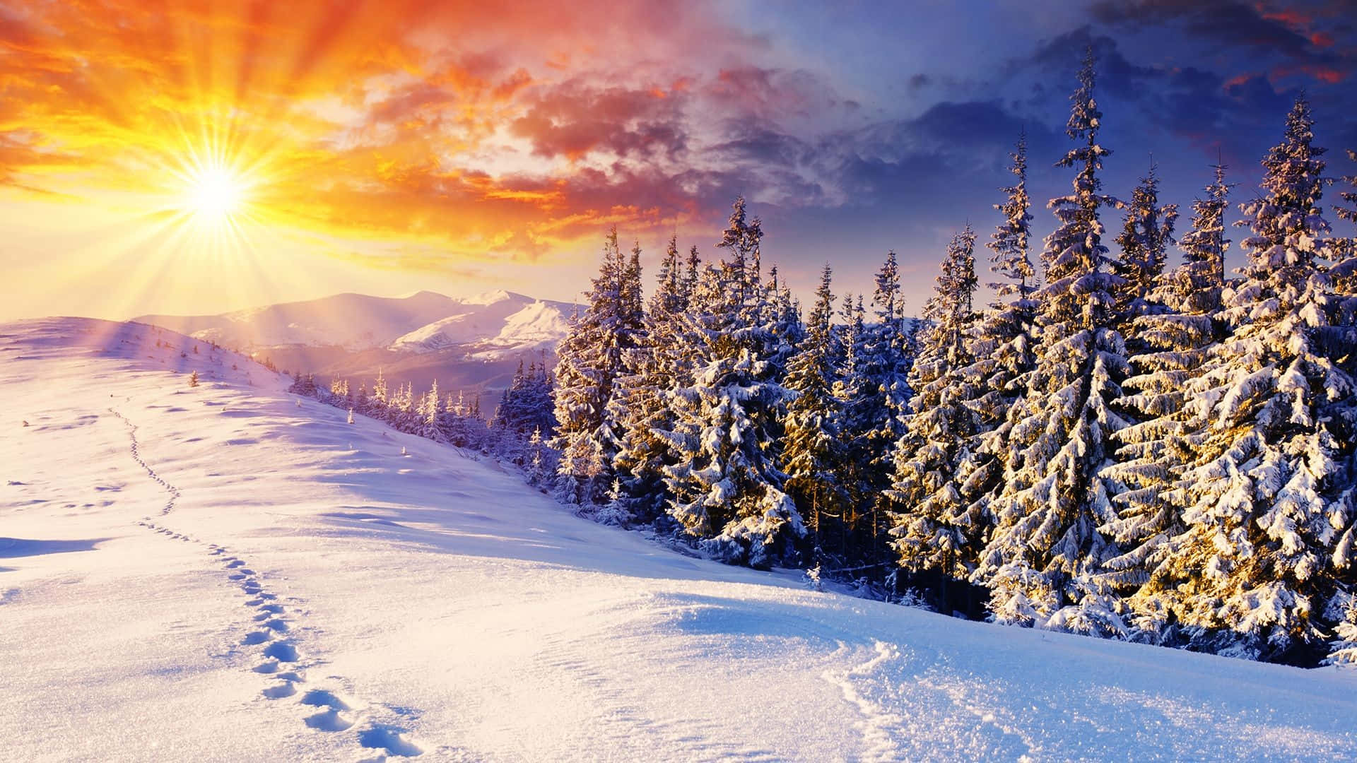 Winter Sunrise Hd Desktop Background