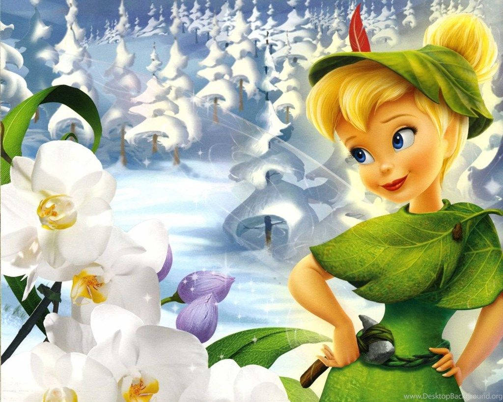 Winter Time Tinkerbell With Orchids Background