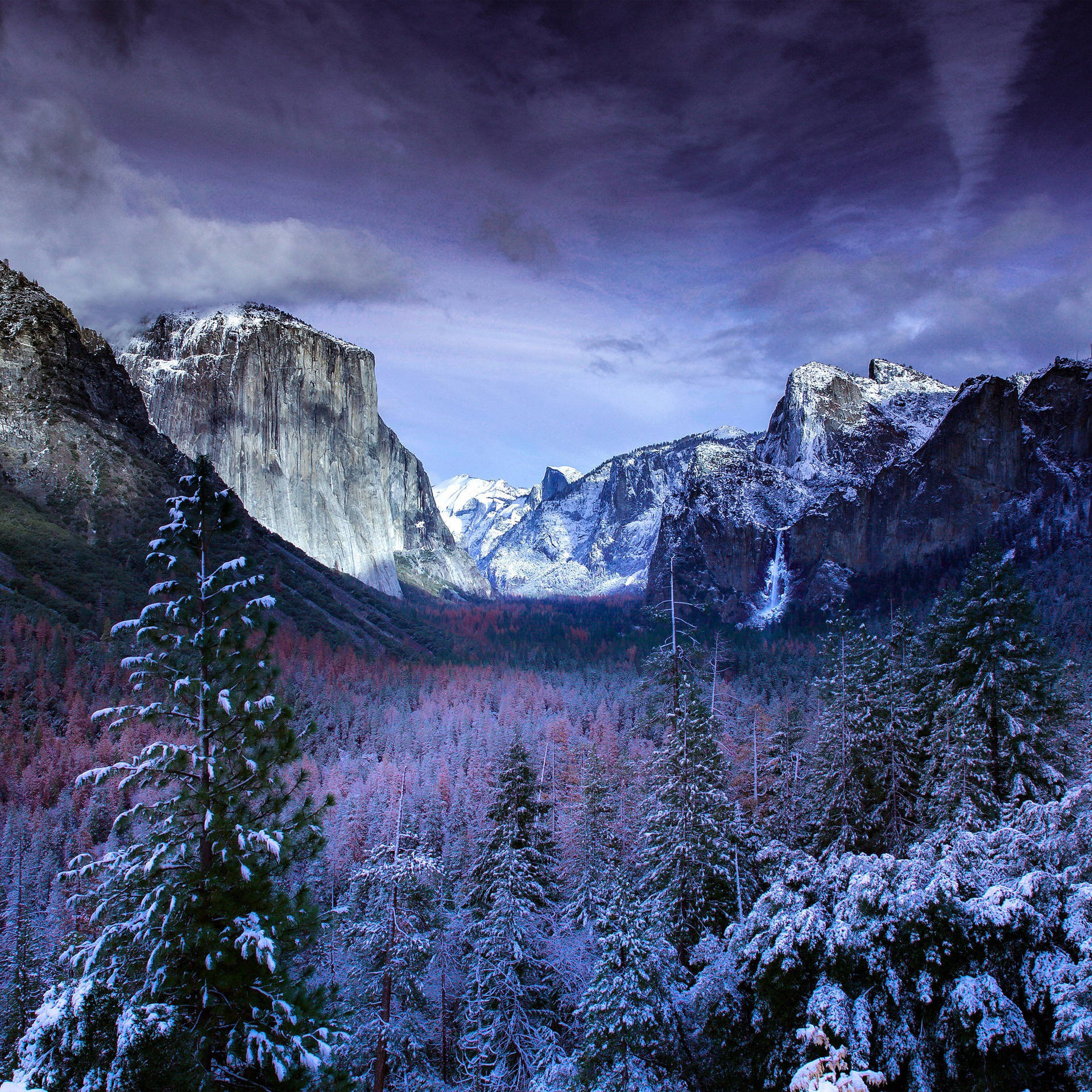 Winter Trees And Mountains Background