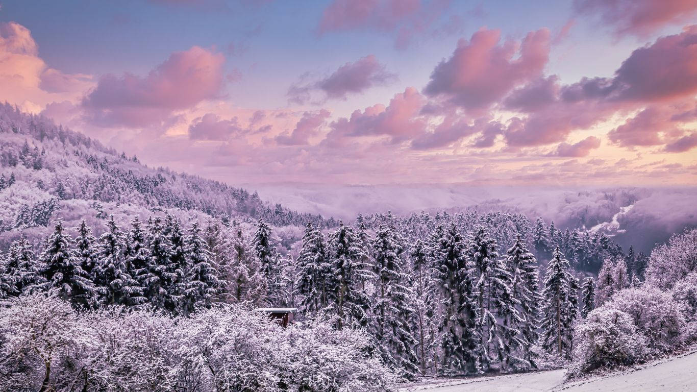 Winter View From A Hilltop Background