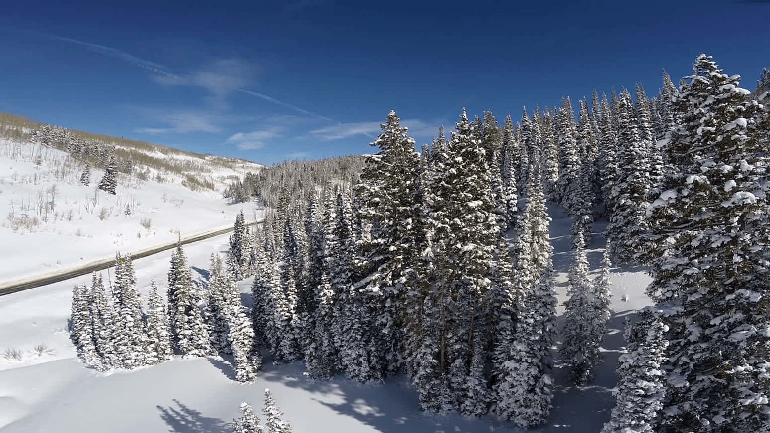 Winter Wonderland Background