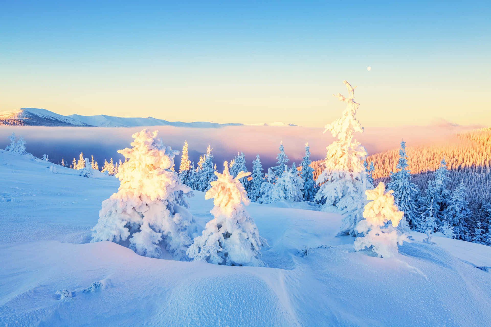 Winter Wonderland Amazing View Desktop