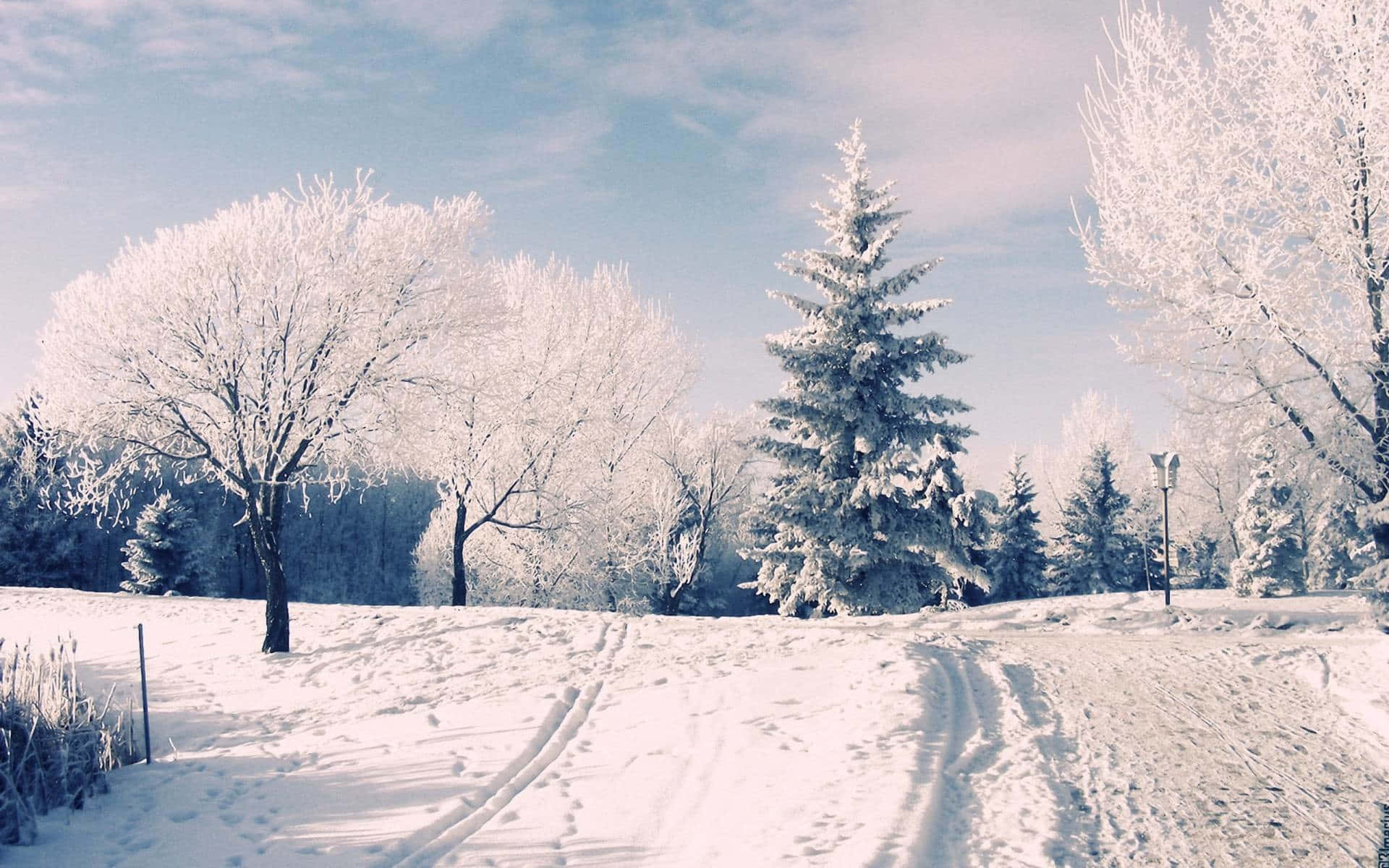 Winter Wonderland Covered Road Desktop