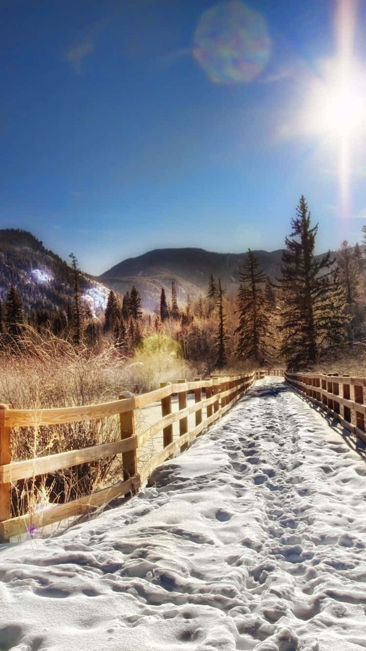 Winter Wonderland Of Iphone 6 Plus Background