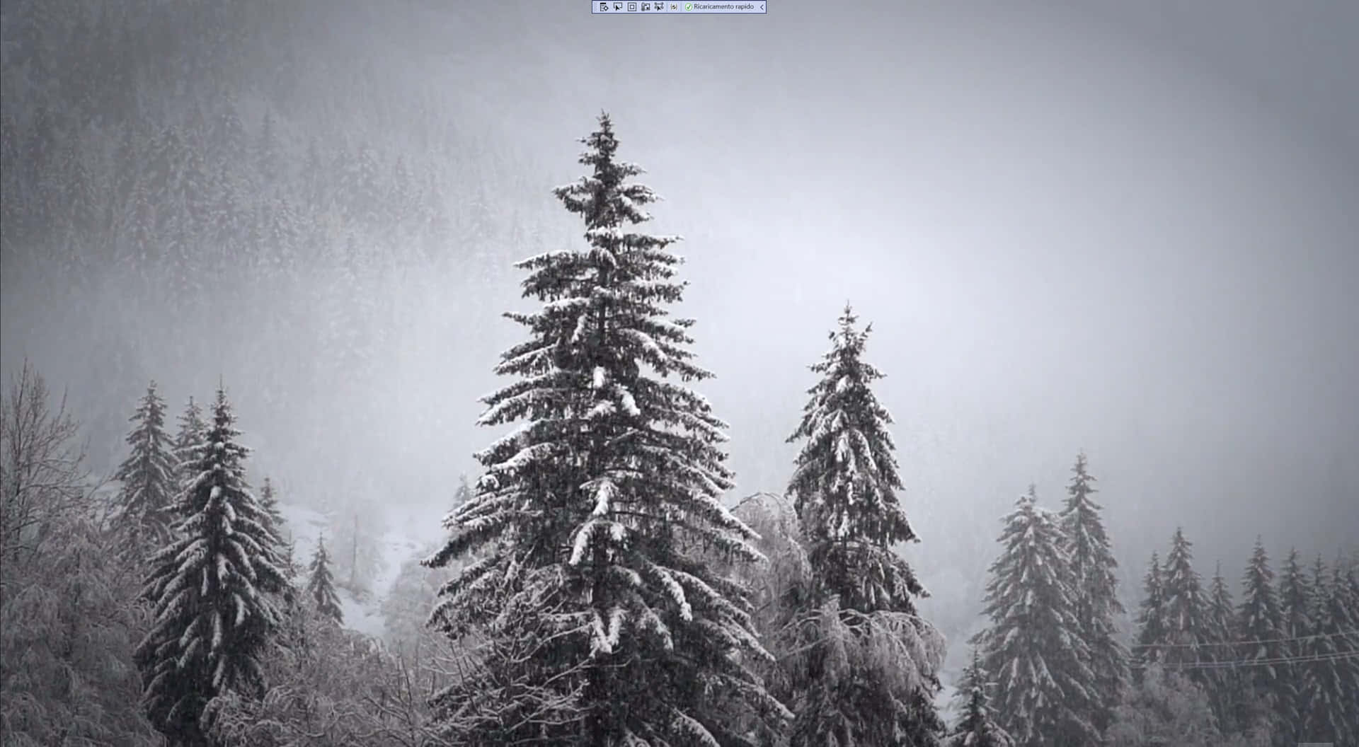 Winter Wonderland Background