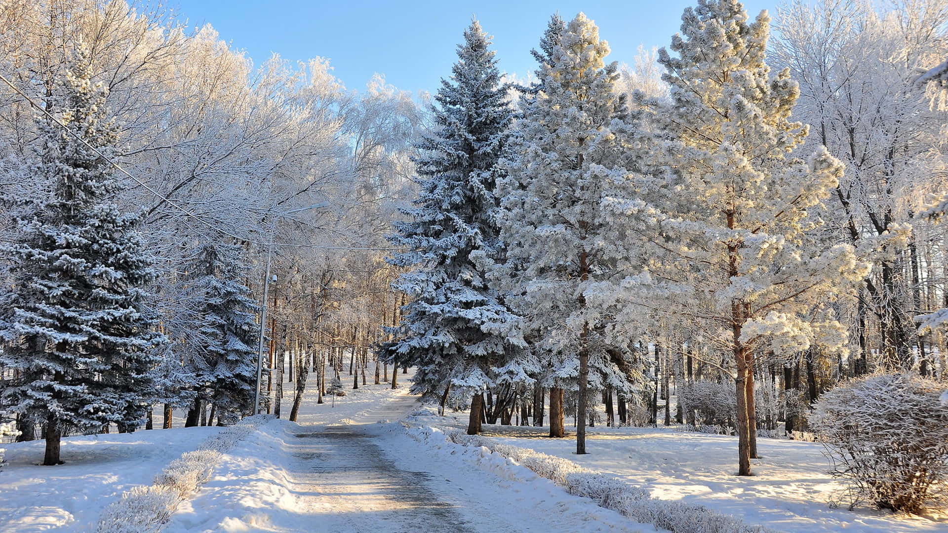 Winter Wonderland Road Desktop