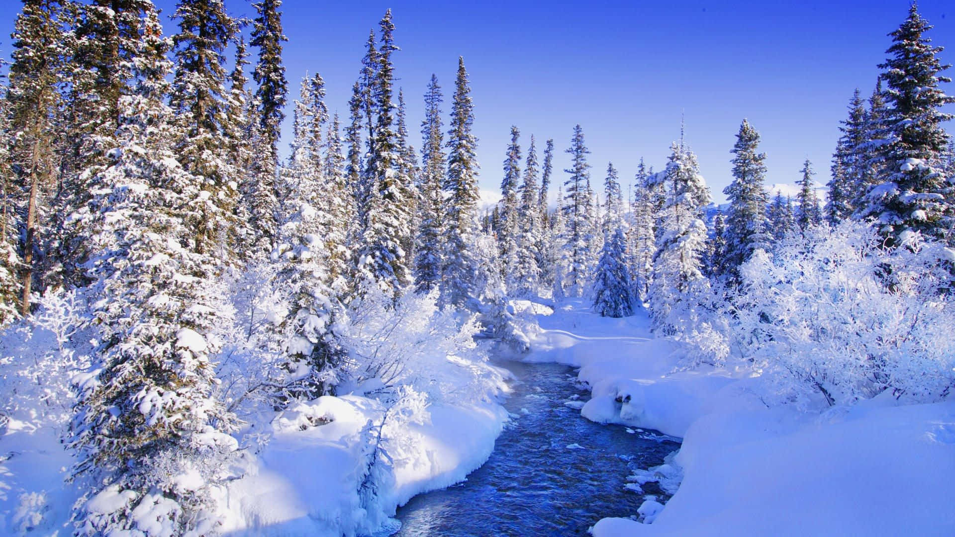 Winter Wonderland Scenery Background