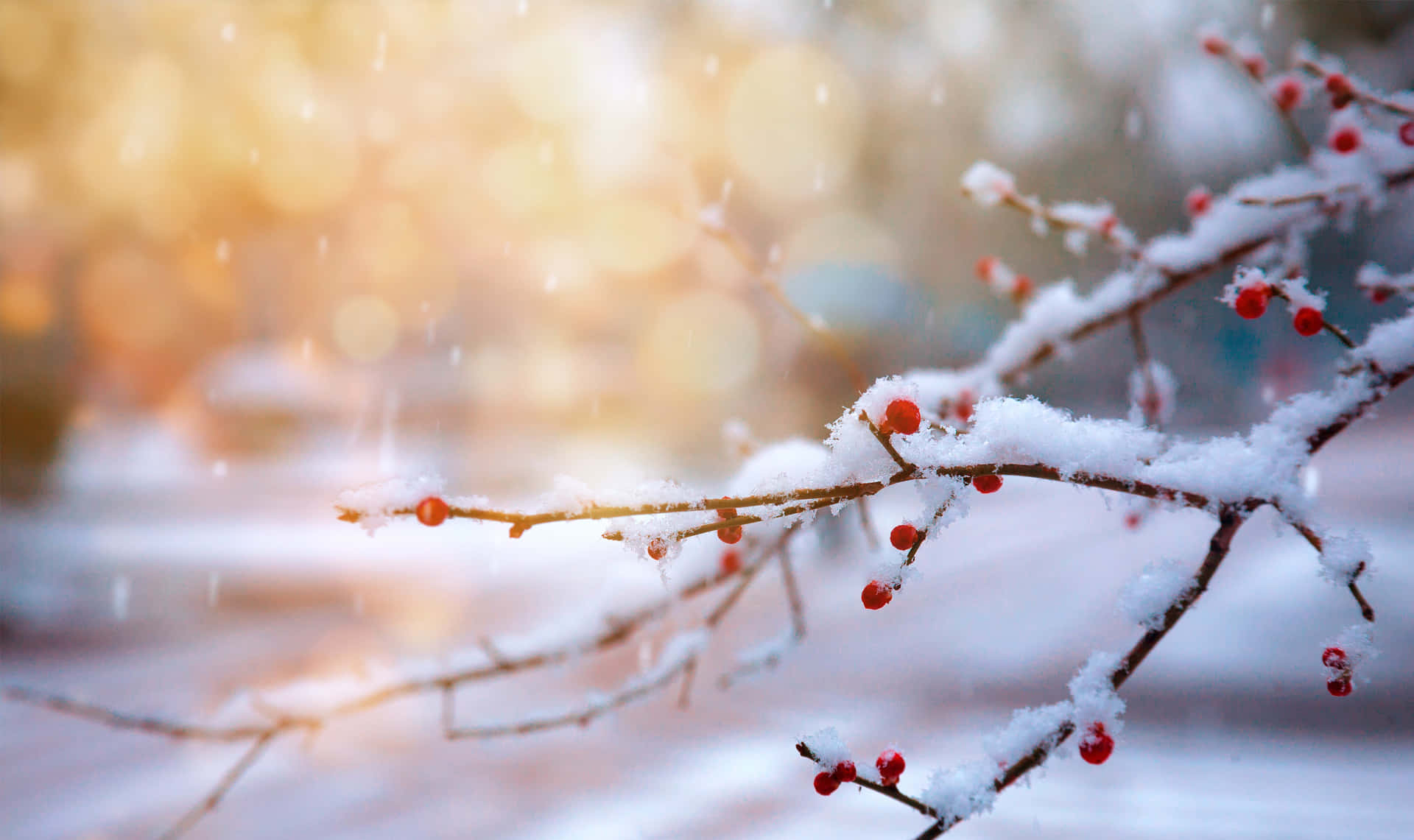 Winter Wonderland Serenity Background