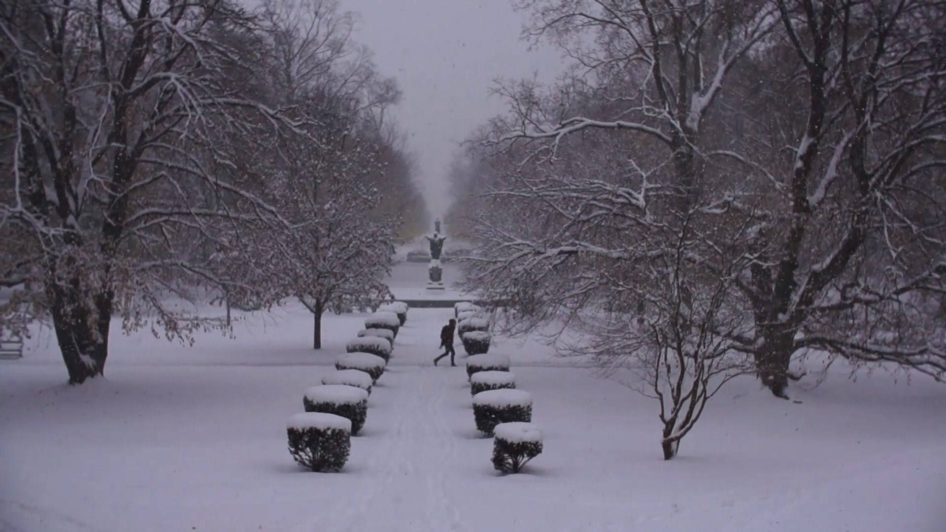 Wintry University Of Notre Dame Grounds Background