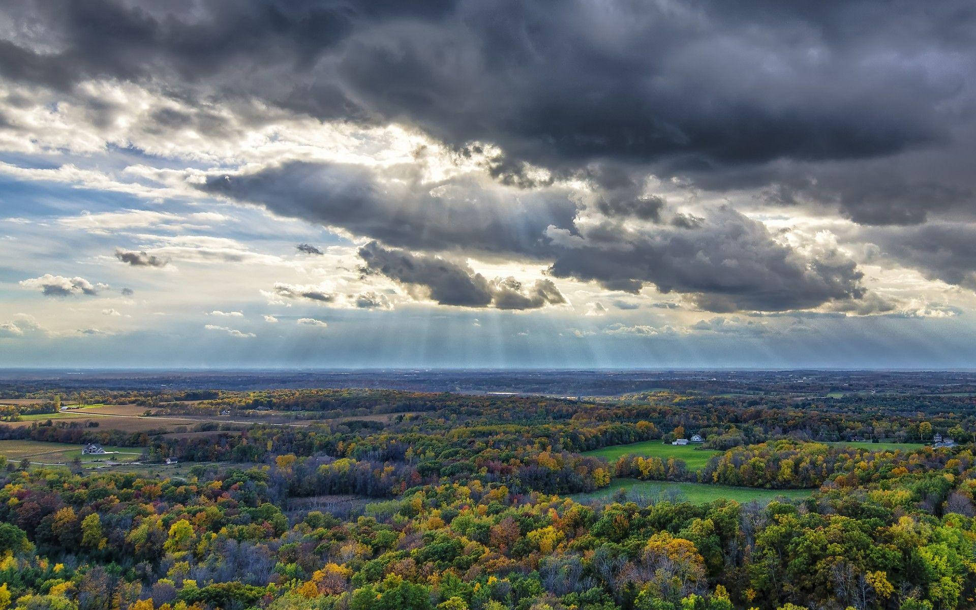 Wisconsin Forest Background