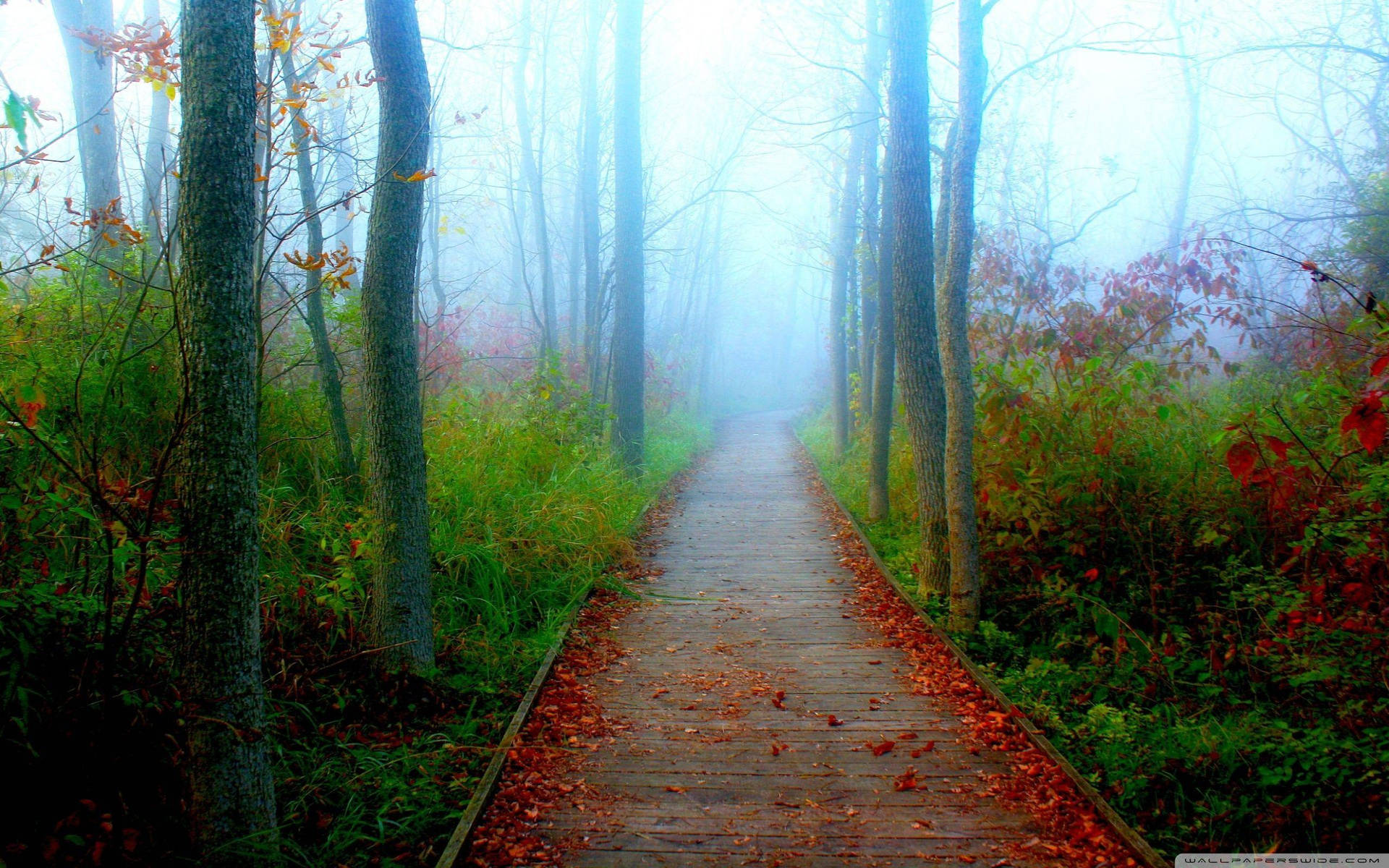 Wisconsin Vintage Pathway