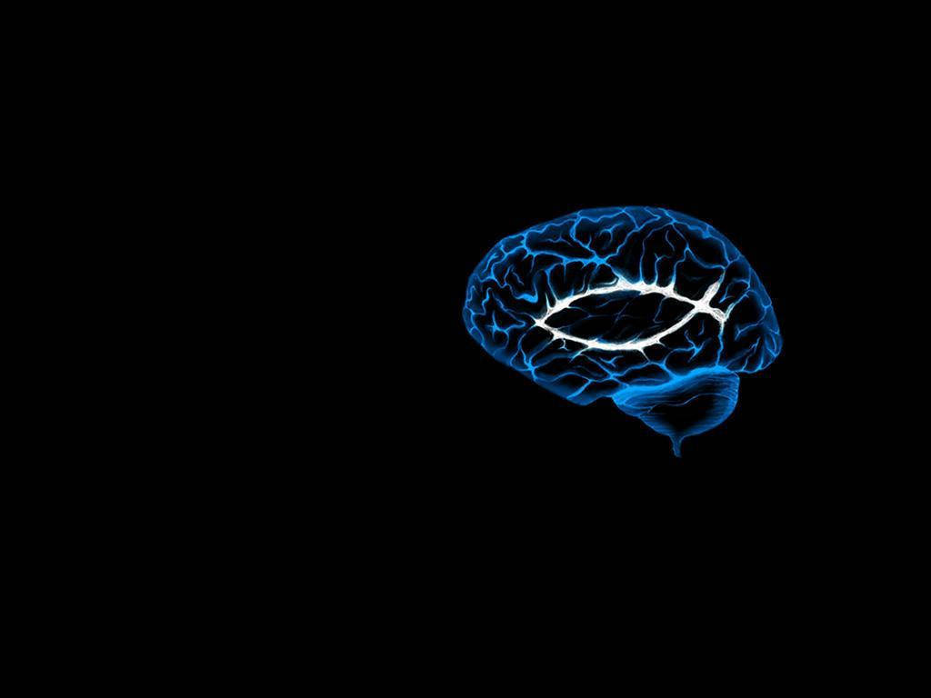 Wise Brain Outline Black Background Background