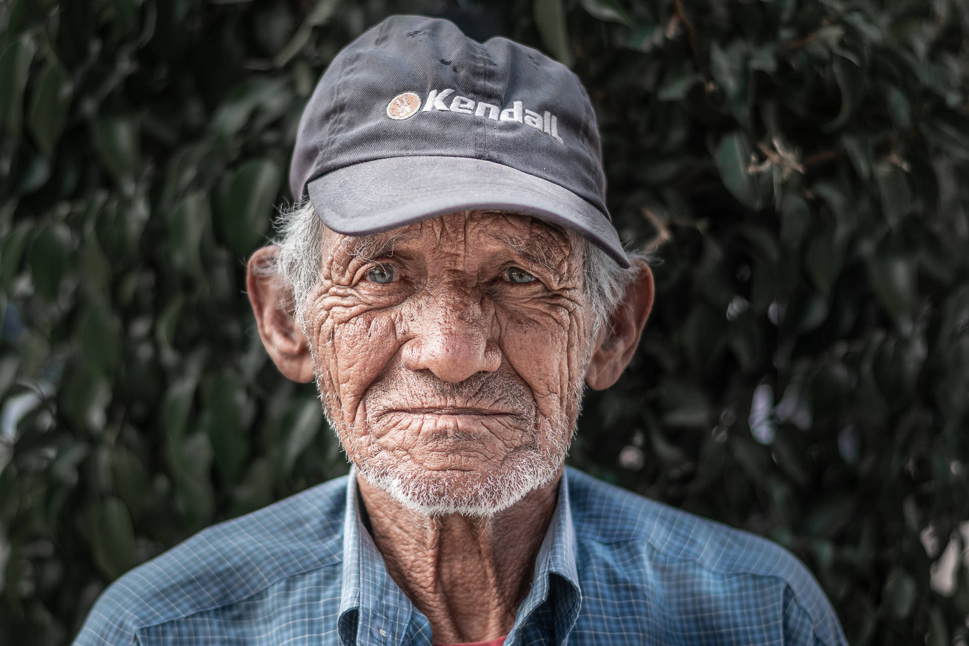 Wise Gaze - An Elderly Man In A Baseball Cap Background
