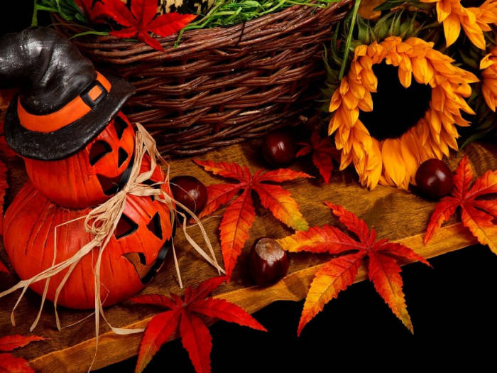 Witch Pumpkin Fall Halloween Background