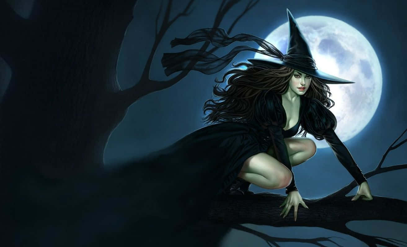 Witch Sitting On A Tree Branch With A Full Moon Background