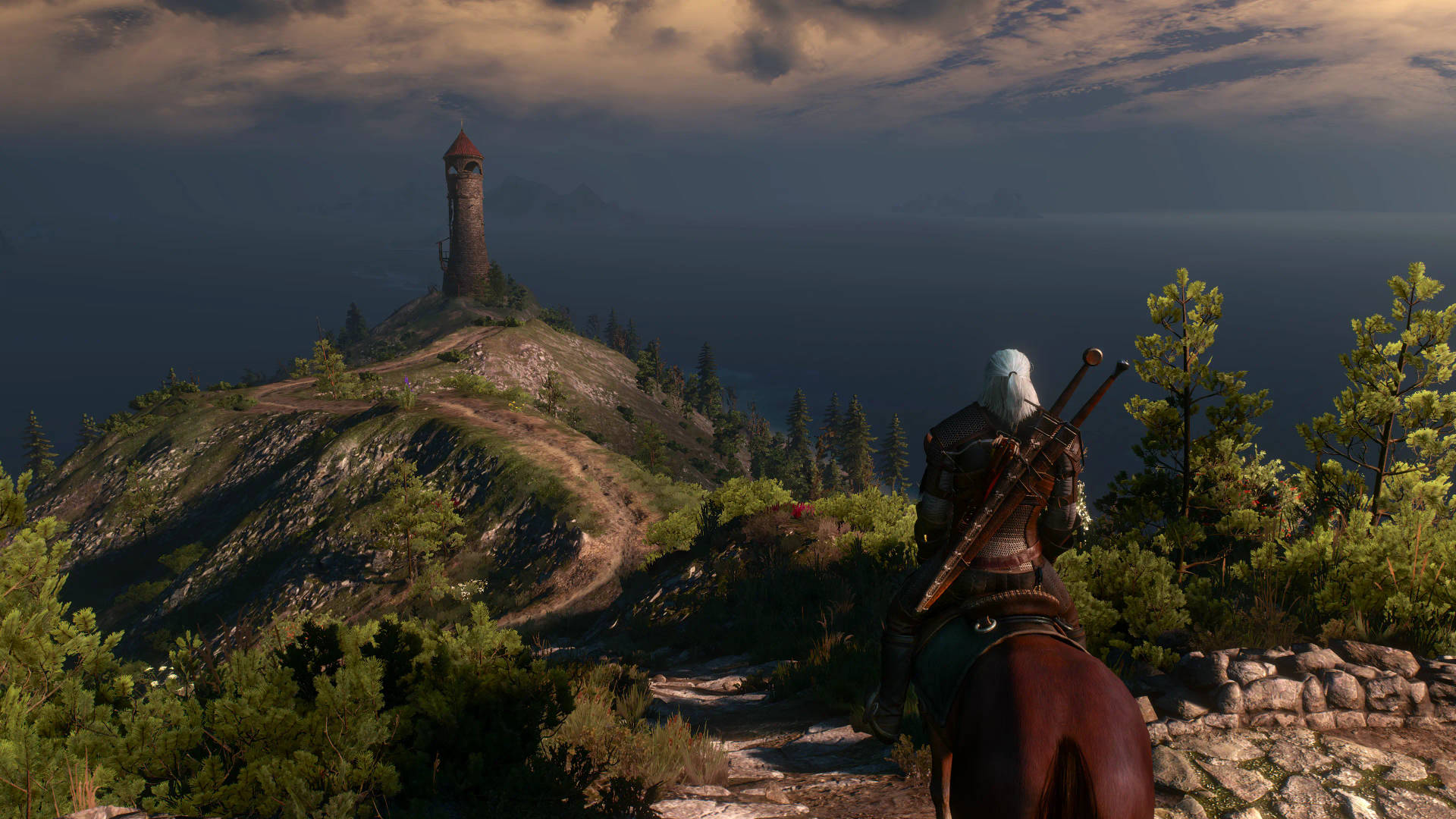 Witcher 3 4k In-game Background