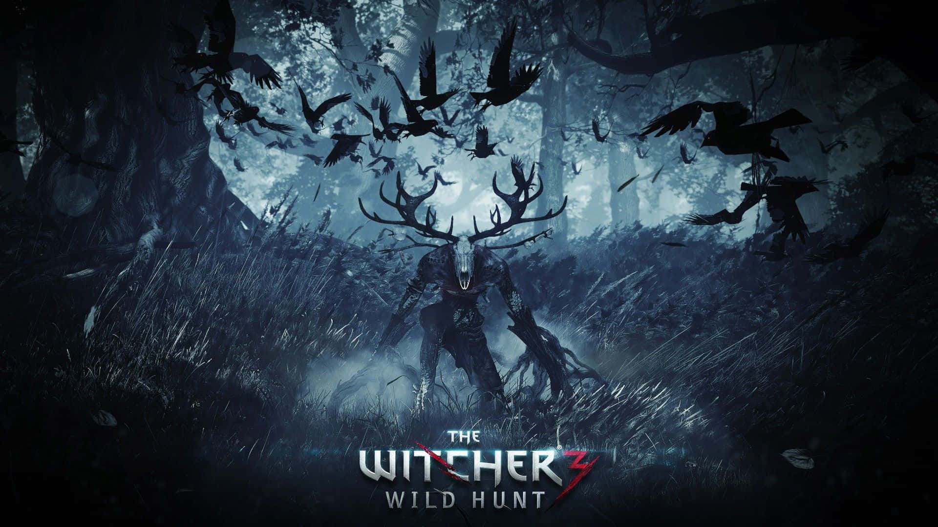 Witcher 3 Wild Paint Hd Wallpaper Background