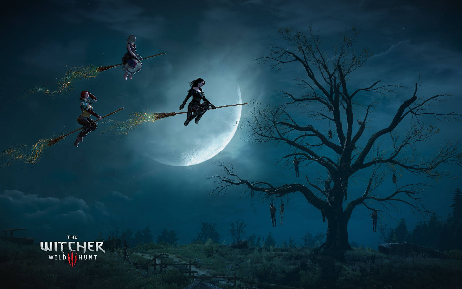 Witcher 3 - Witcher 3 Wallpaper Background