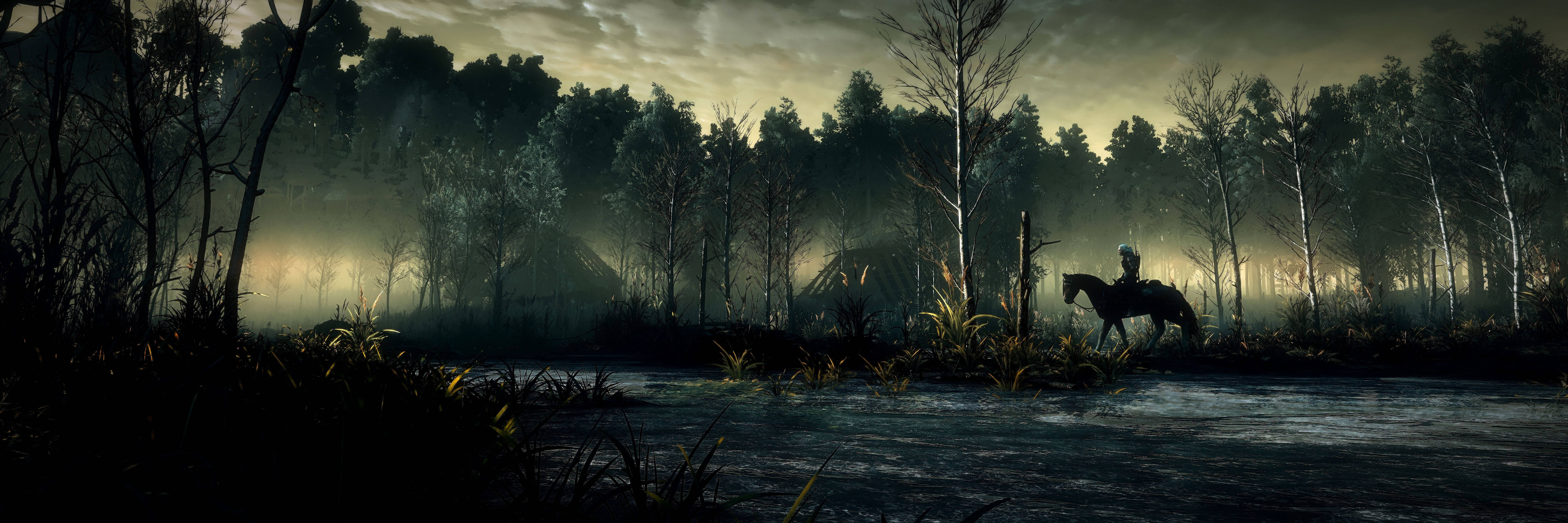 Witcher 4k Dense Forest Background