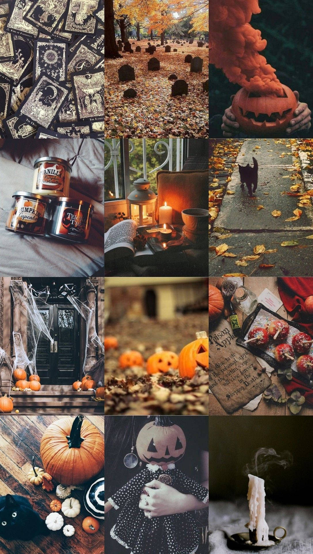 Witchy Aesthetic Halloween Background