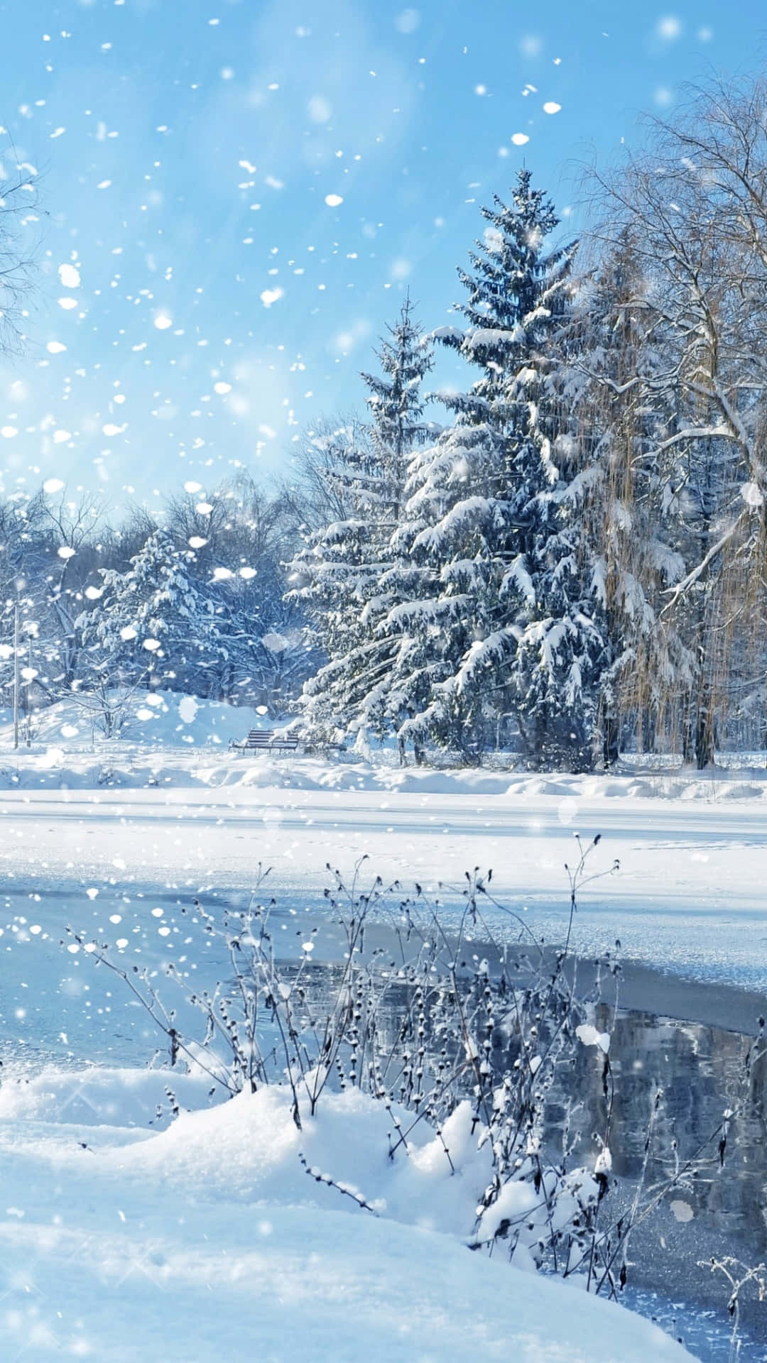 Witness The Breathtaking Beauty Of Winter Background
