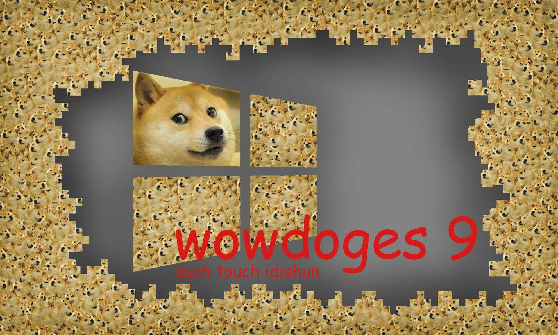 Woah! Such Doge Background