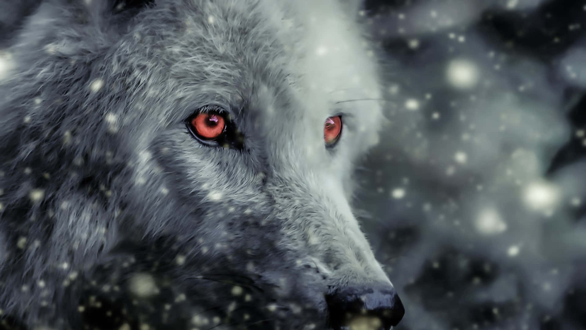 Wolf Aesthetic Red Eyes Background