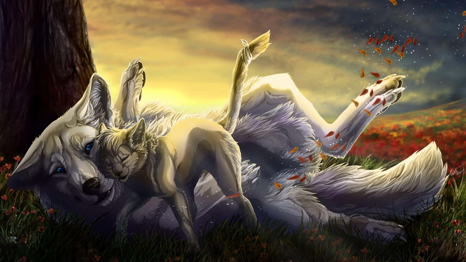 Wolf And Cat Laying In The Grass Background