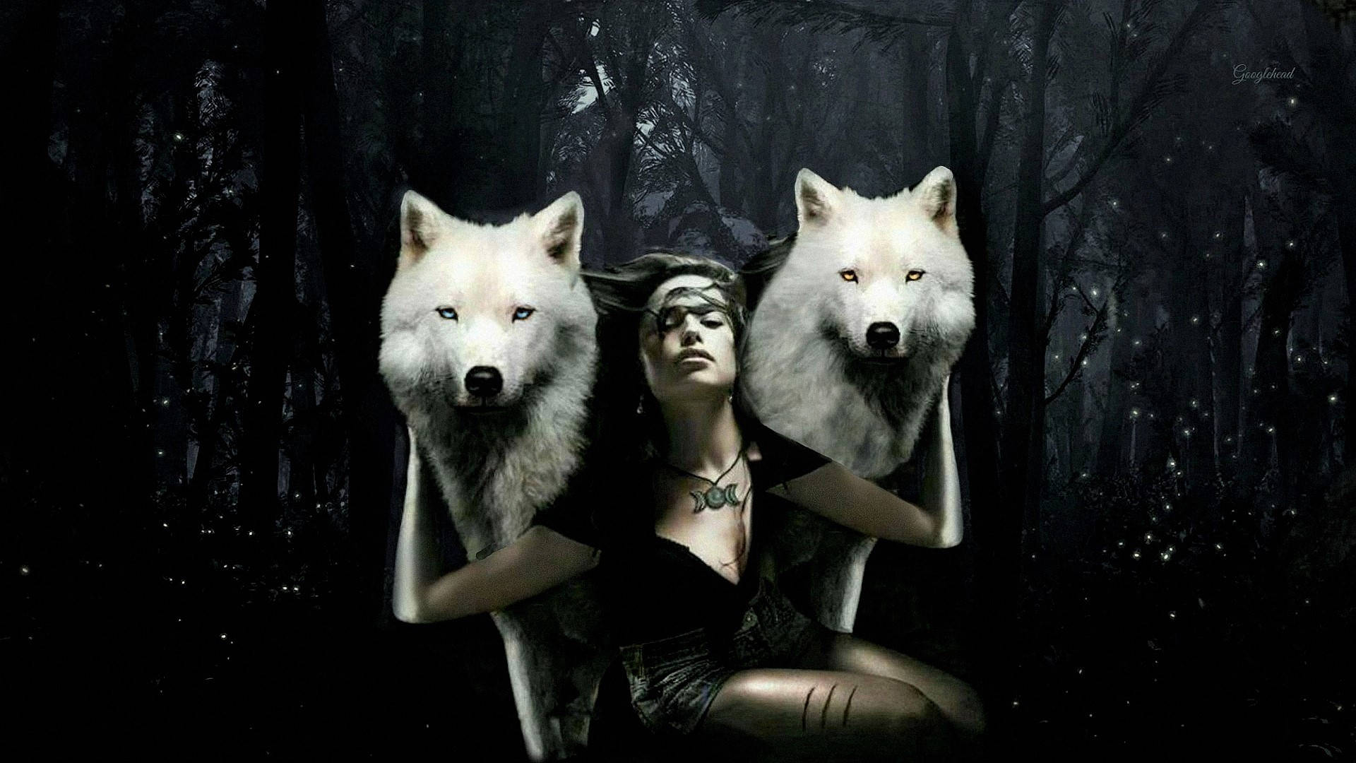 Wolf And Girl Awesome Photoshop Background