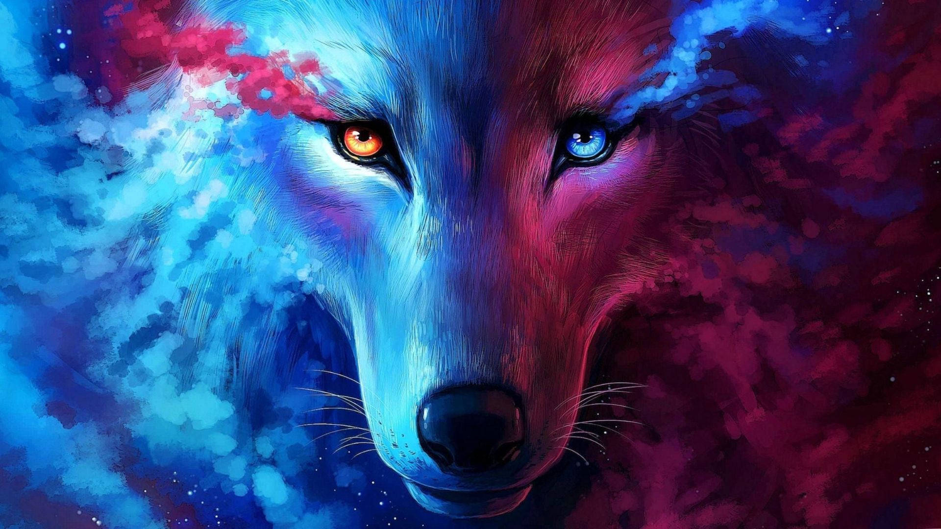 Wolf In Cute Galaxy Background