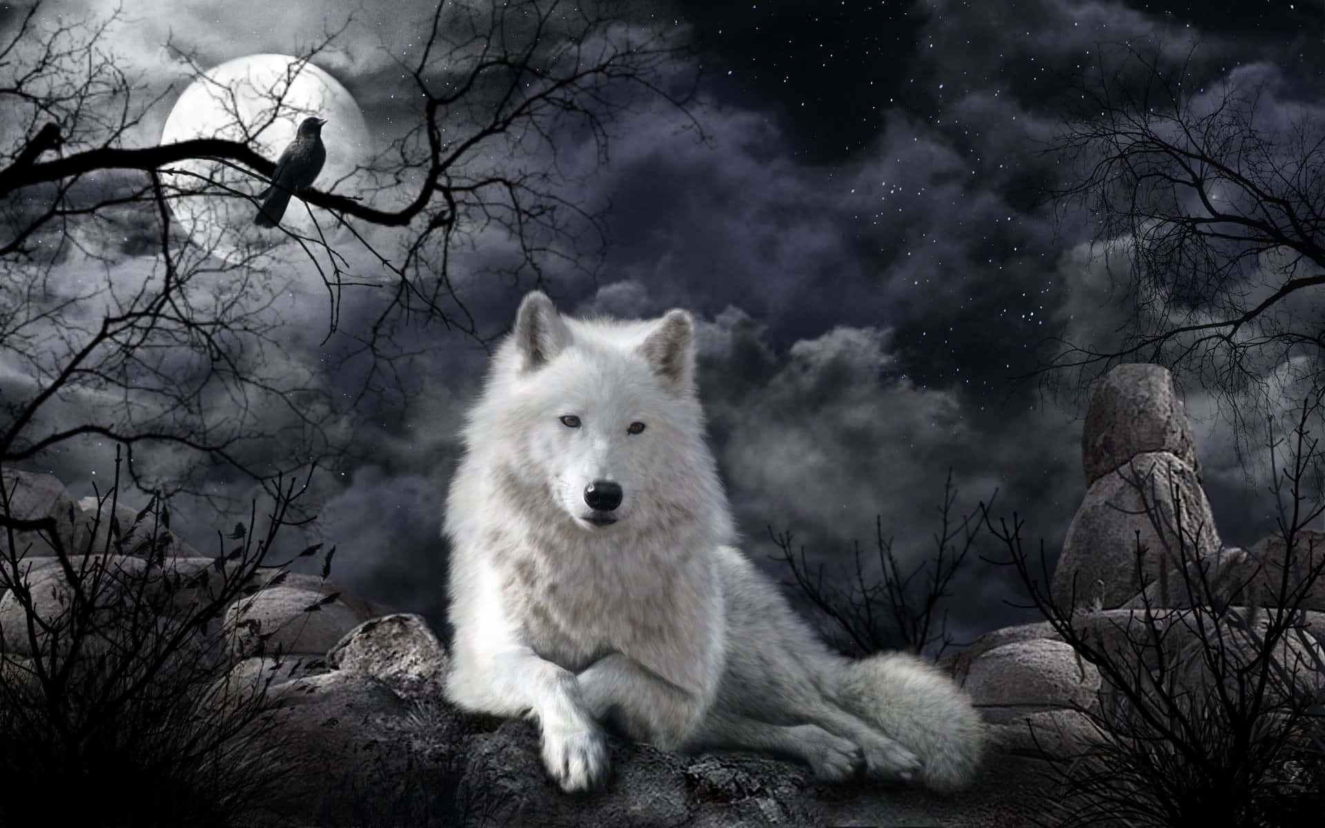 Wolf Moon Relaxing With Raven Background