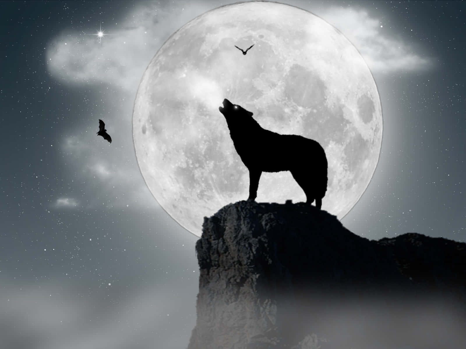 Wolf Moon With Bats Background