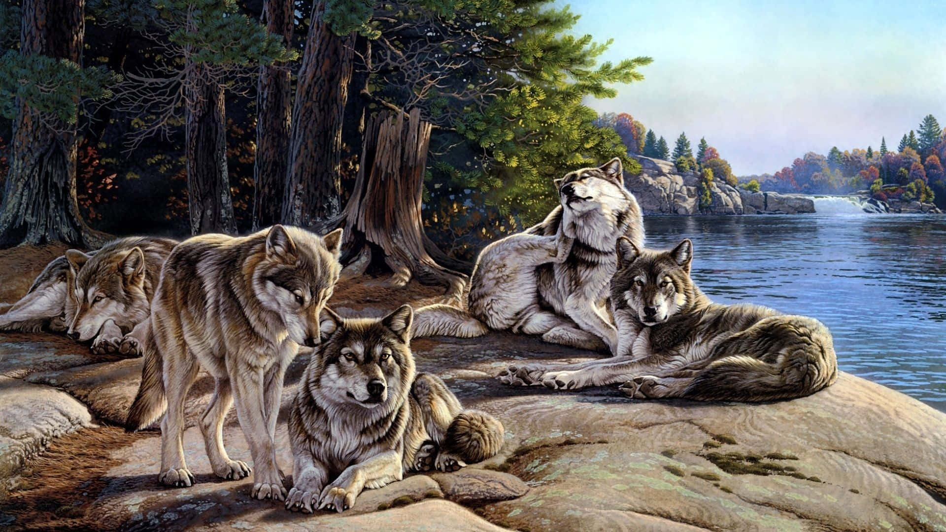 Wolf Pack By Lake Background