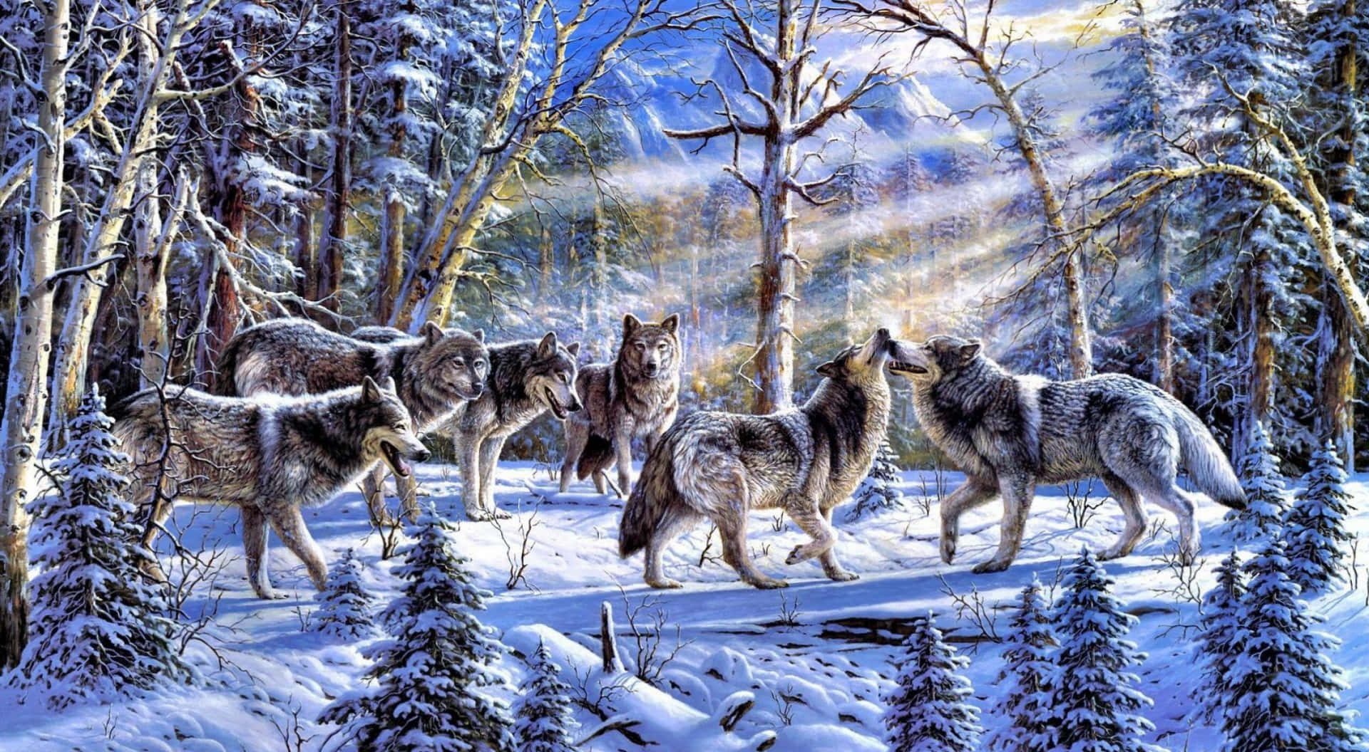 Wolf Pack Snow Forest Sunrise Background