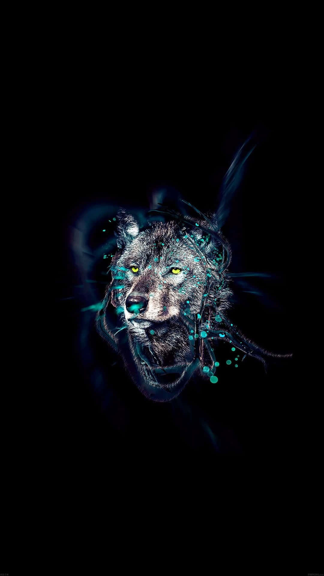 Wolf Spotlight Iphone Wallpaper Background