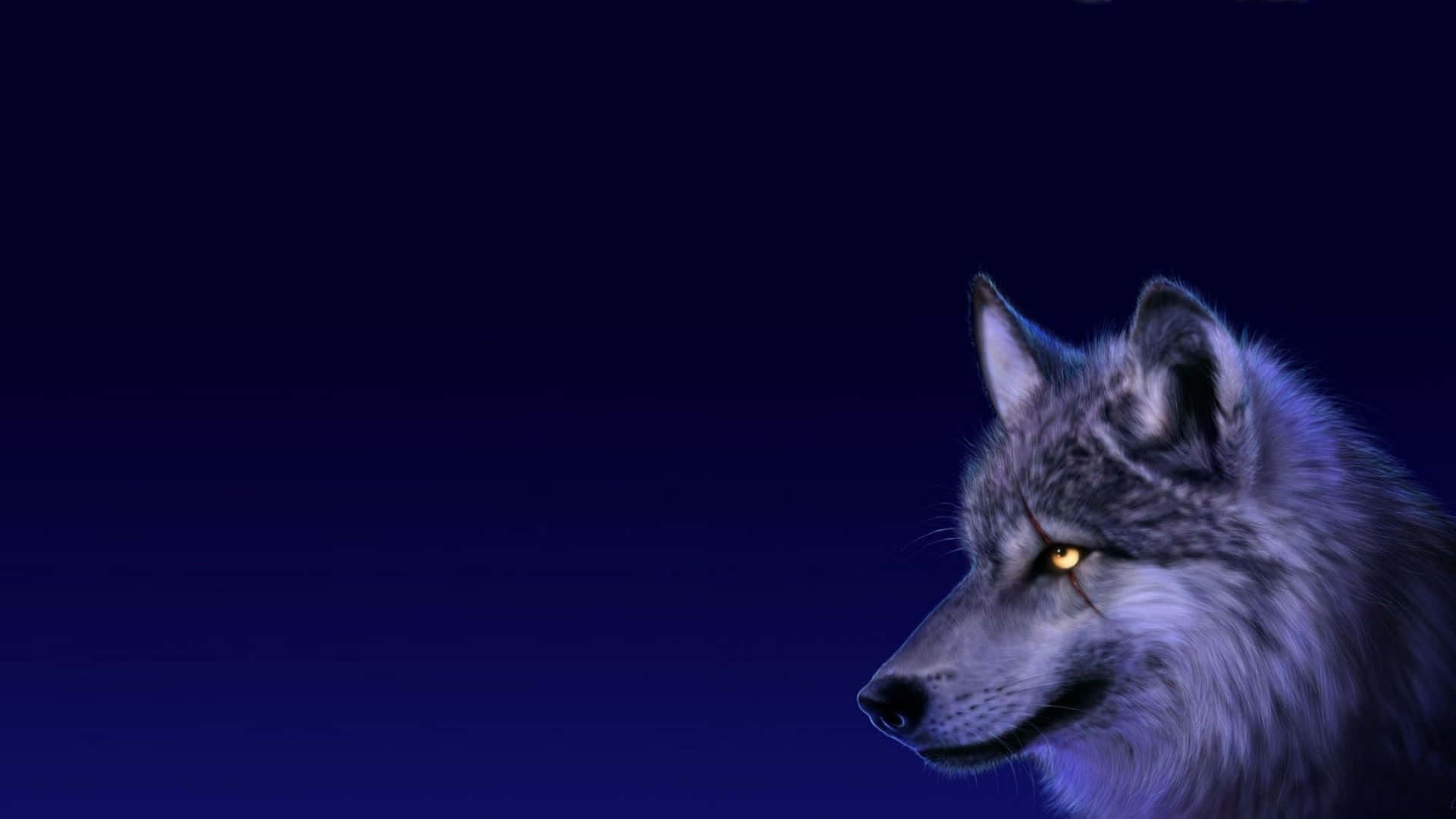 Wolf Wallpapers Wolf Wallpapers Background