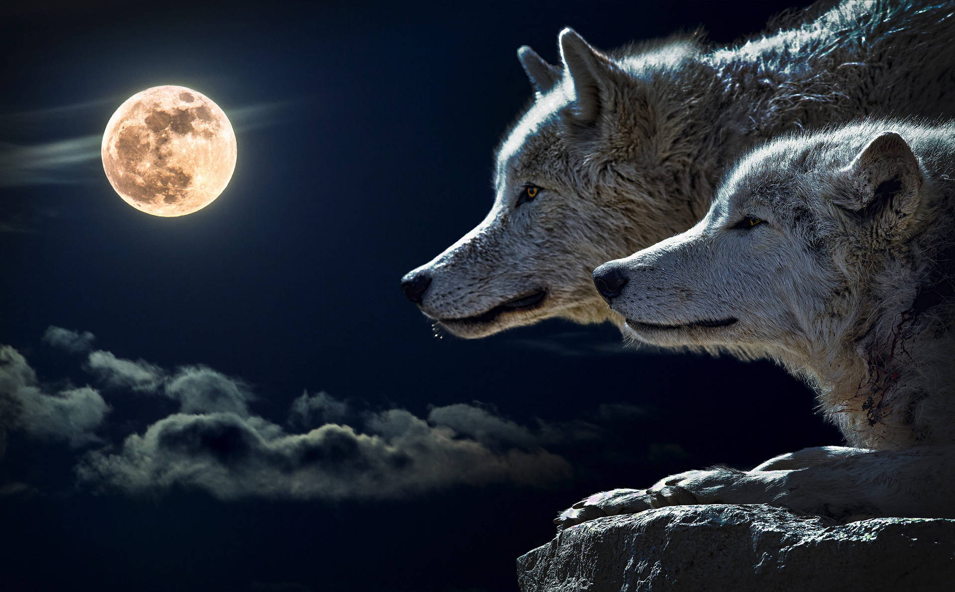 Wolf With The Moon Desktop Background