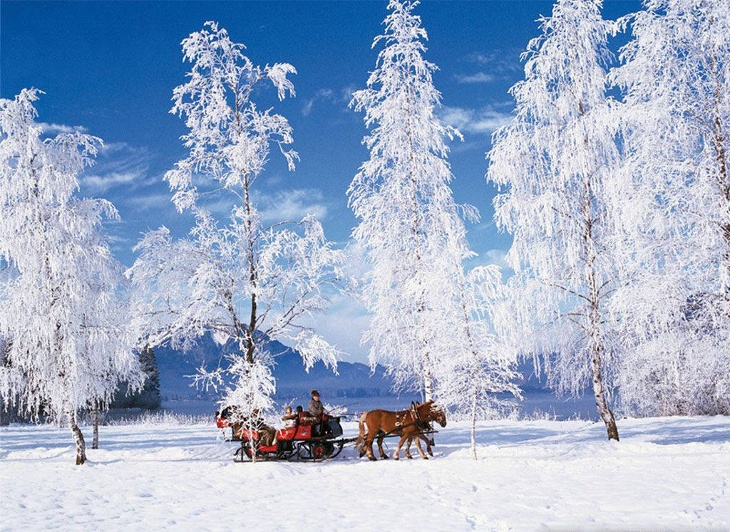 Wolfgangsee Lake Winter Scenery Background