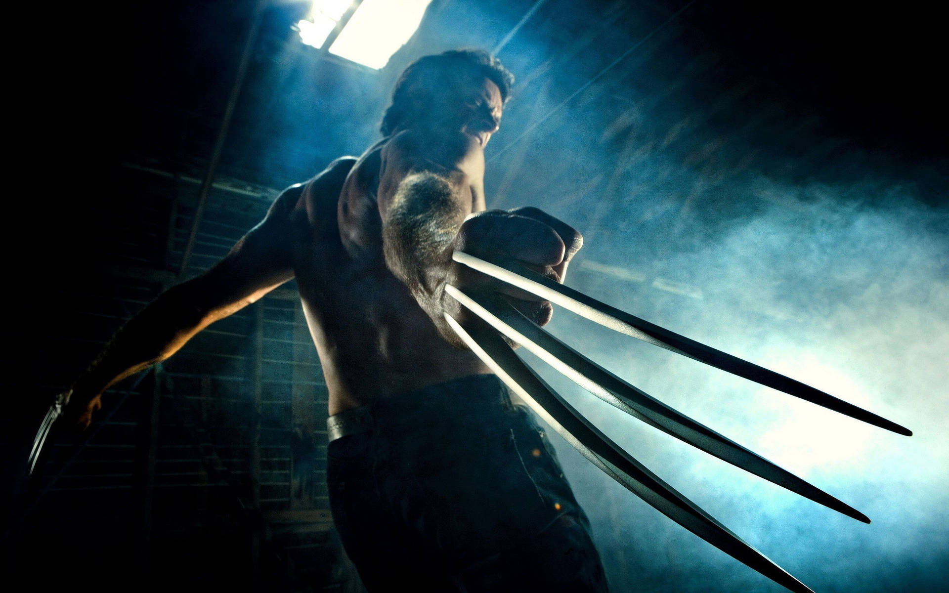 Wolverine Hollywood Movie