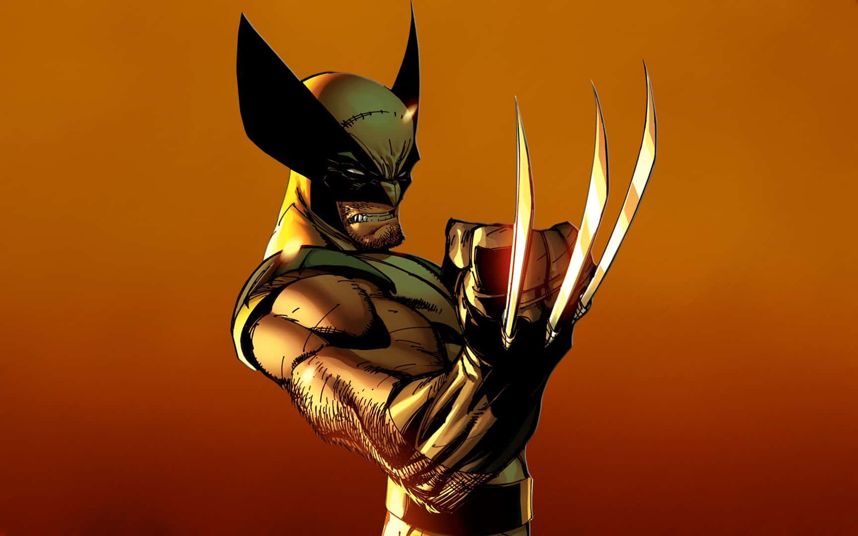 Wolverine In Action Background