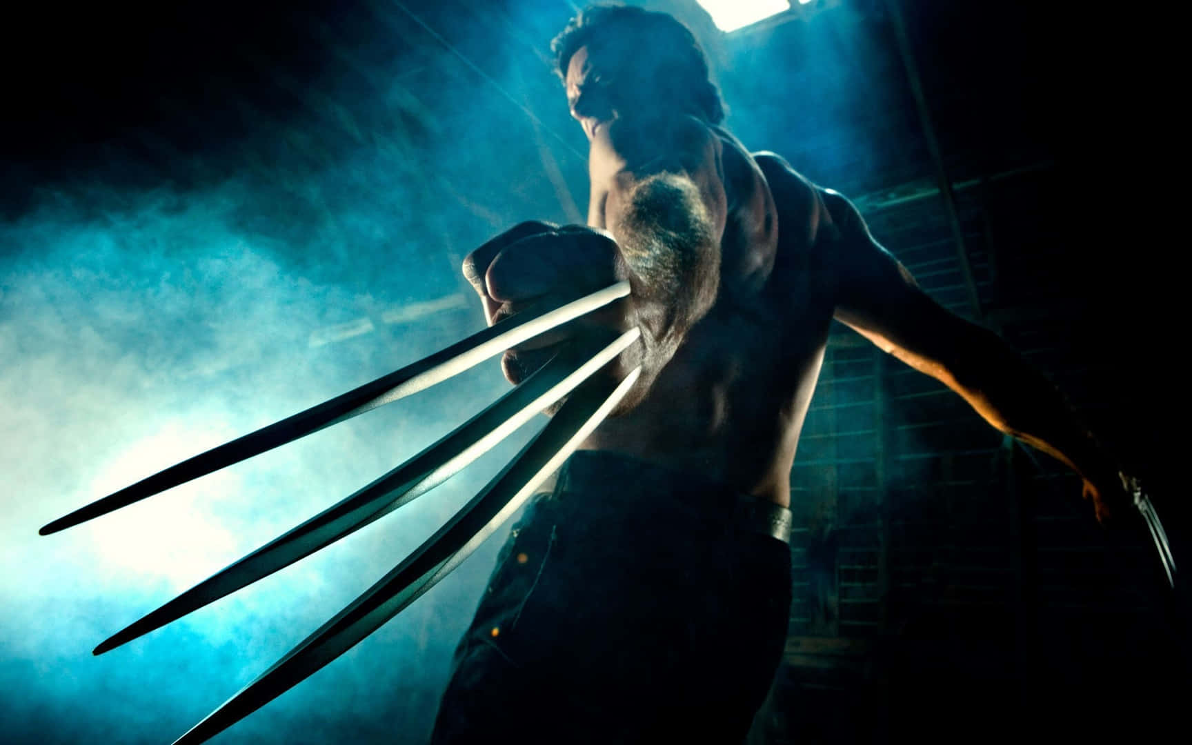 Wolverine In Battle