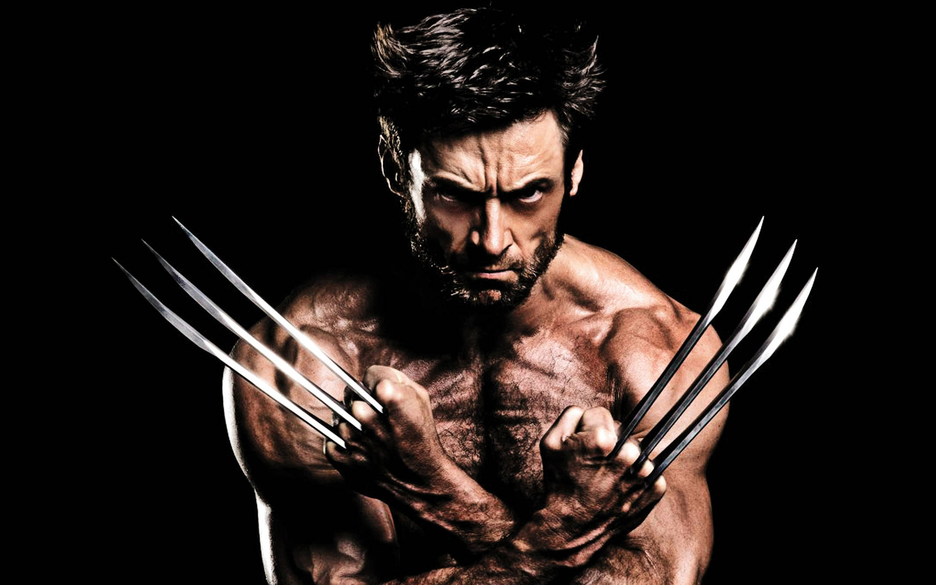 Wolverine With Claws Background