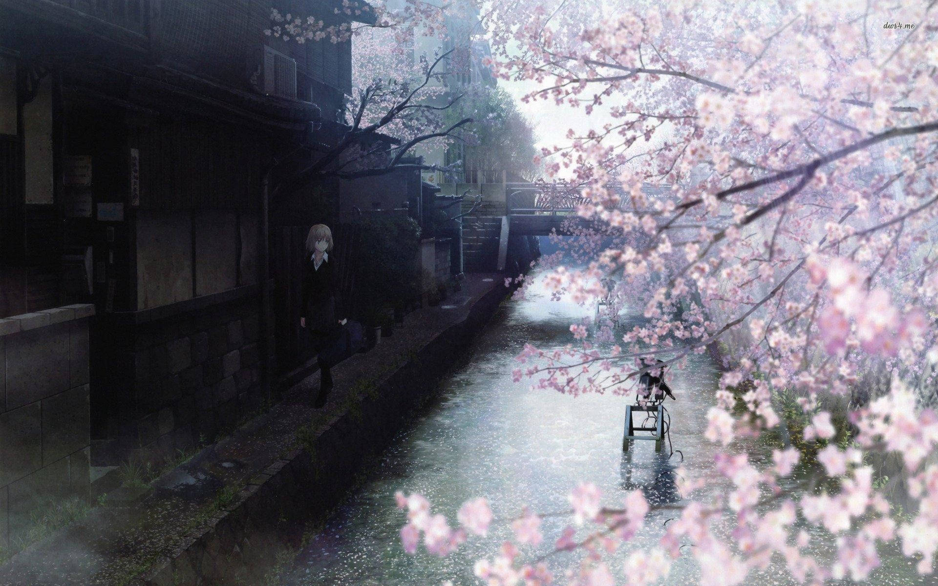 Woman And Cherry Blossoms Anime Pc Background