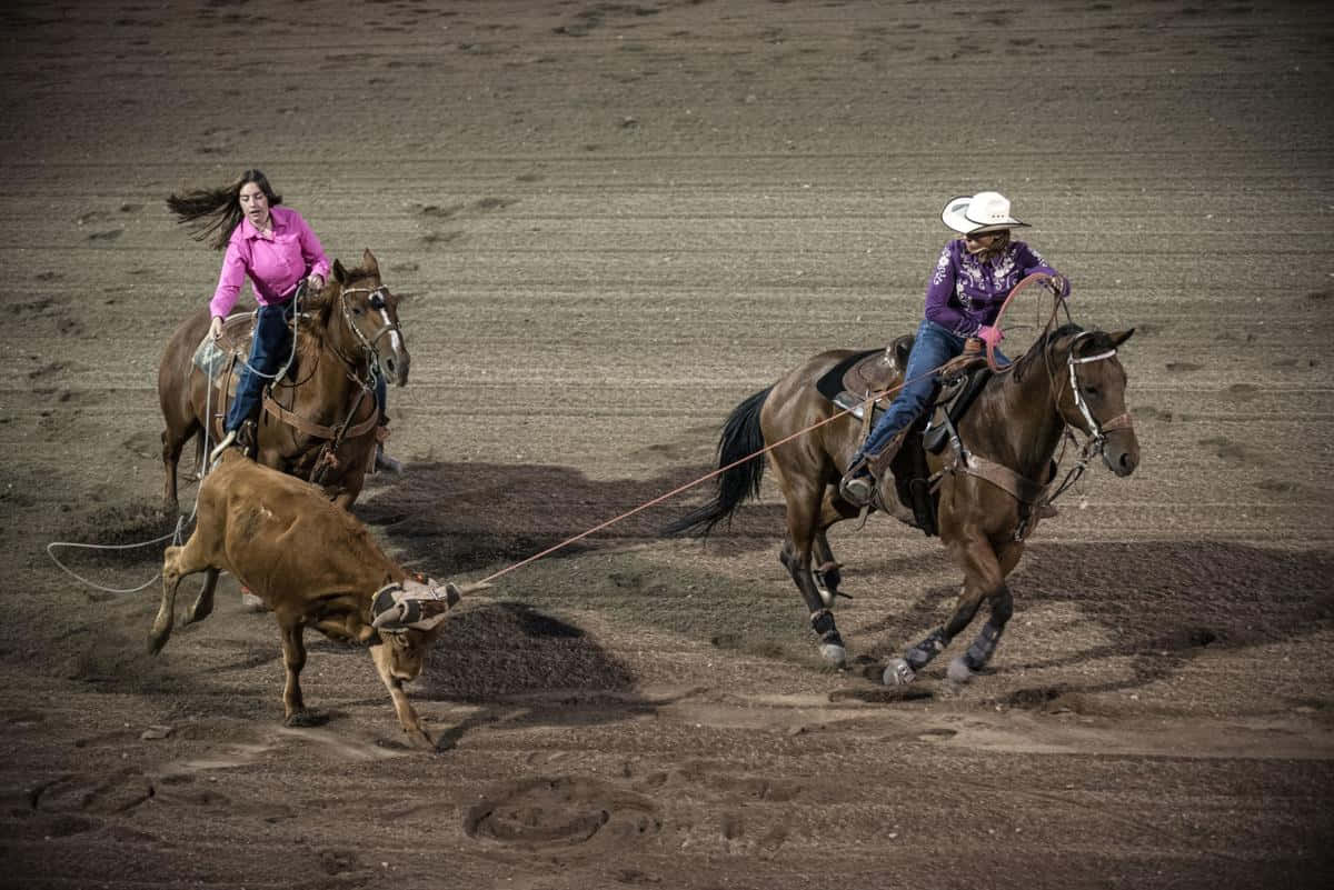 Woman And Man Team Roping Background