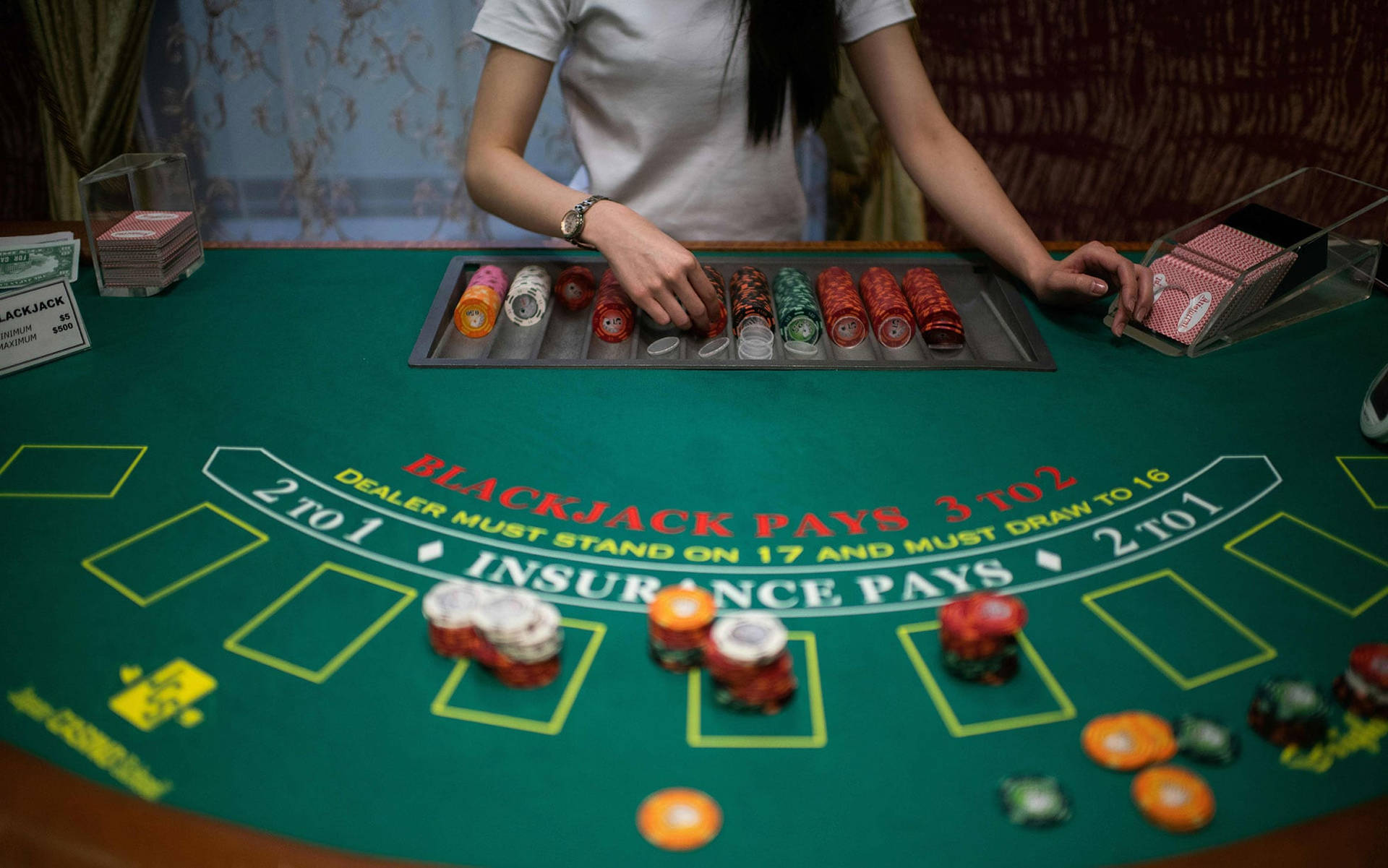 Woman Blackjack Dealer