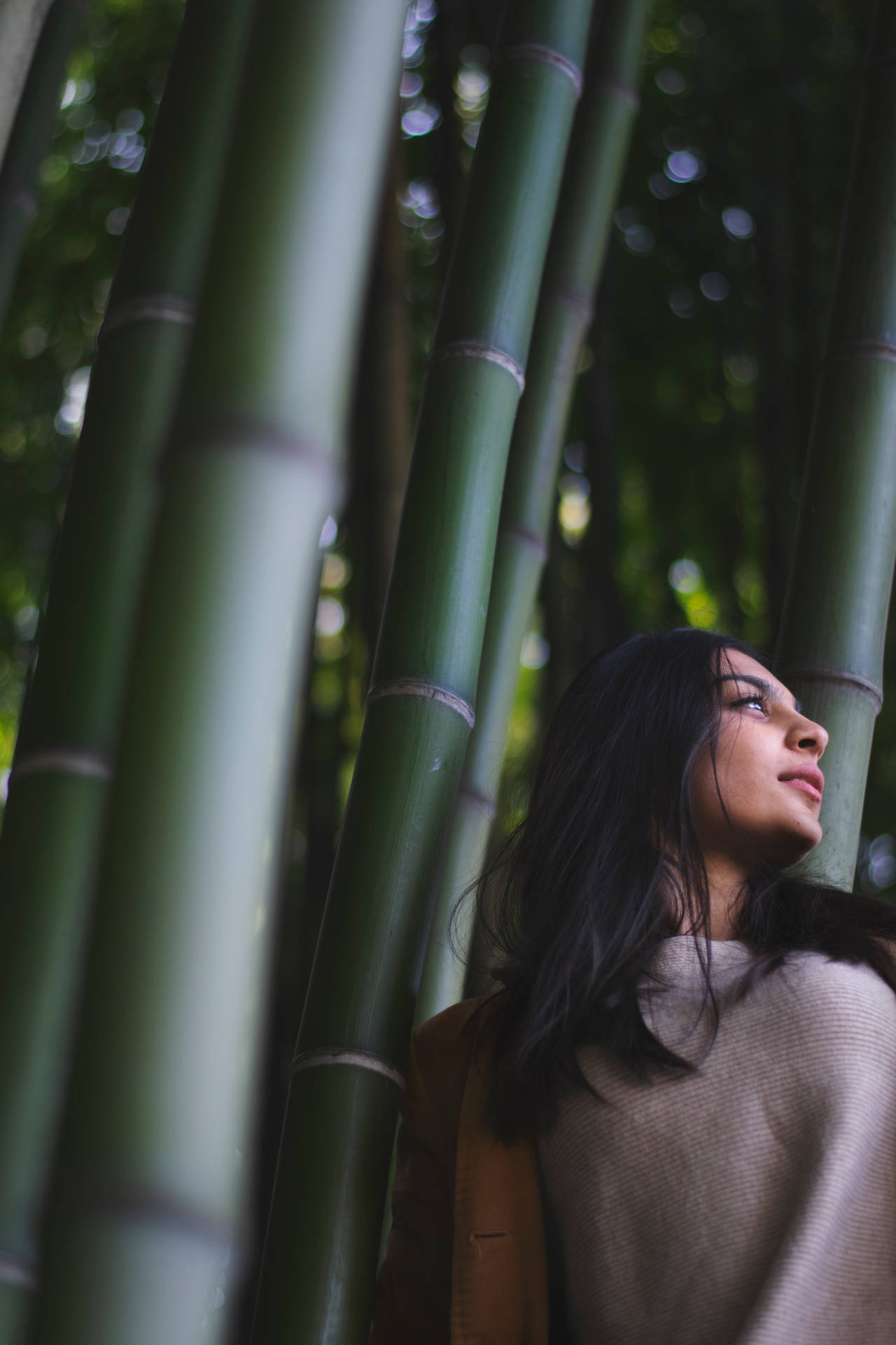Woman By The Bamboo Pole Background