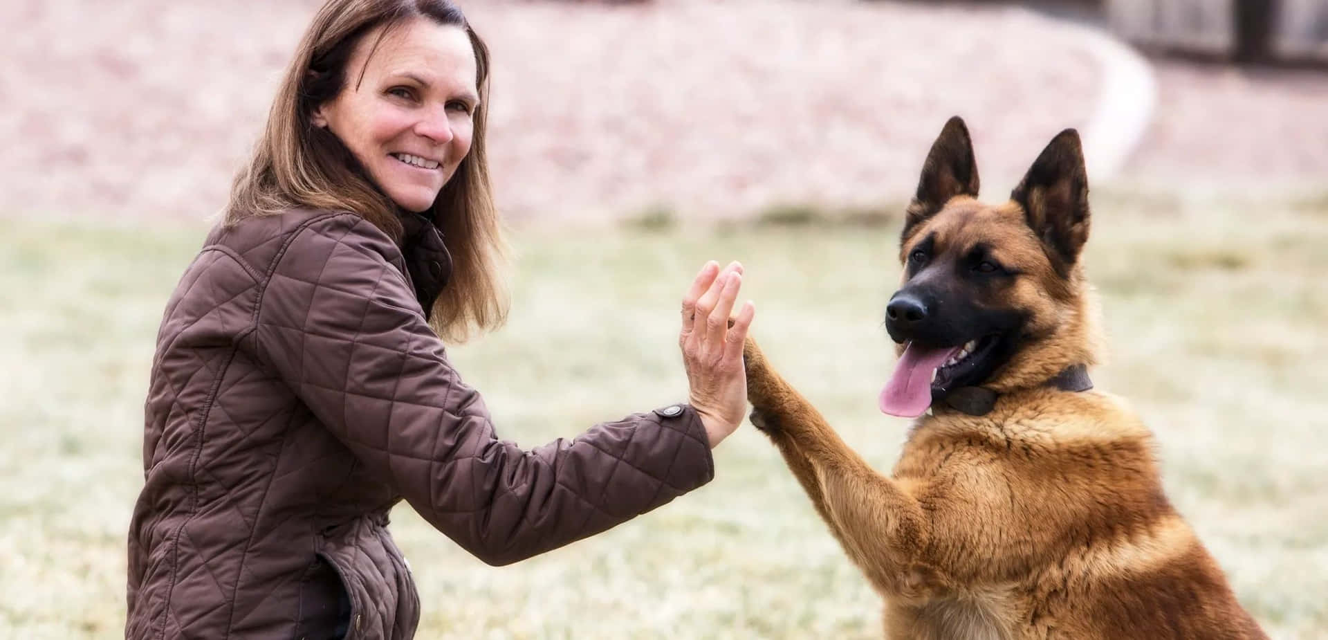 Woman Dog High Five Training Background