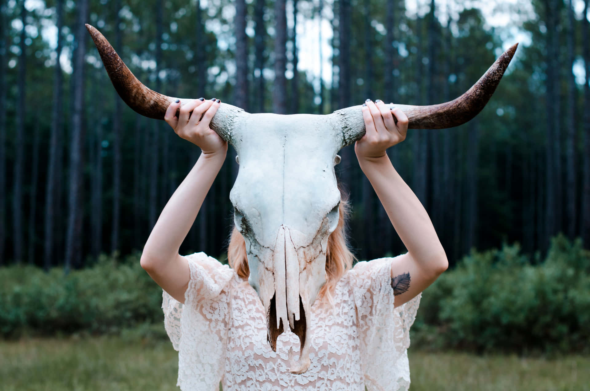 Woman Holding A Bull Skull Background